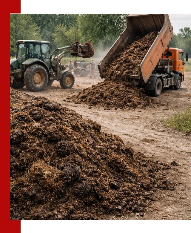 Доставка навоза самосвалами в Новокуйбышевске для сельхозпотребностей
